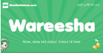 Wareesha arabic girl name and meaning, quranic girls name Wareesha