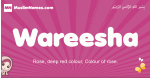 Wareesha arabic girls name and meaning, muslim girl name Wareesha