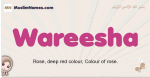 Wareesha muslim girls name and meaning, islamic girls name Wareesha