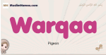 Warqaa muslim girls name and meaning, islamic girls name Warqaa