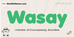 Wasay muslim boys name and meaning, islamic boys name Wasay