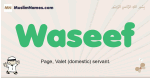 Waseef muslim boys name and meaning, islamic boys name Waseef