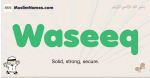 Waseeq muslim boys name and meaning, islamic boys name Waseeq