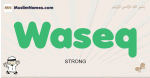 Waseq muslim boys name and meaning, islamic boys name Waseq