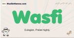 Wasfi muslim boys name and meaning, islamic boys name Wasfi