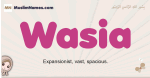 Wasia muslim girls name and meaning, islamic girls name Wasia