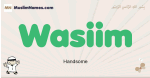 Wasiim muslim boys name and meaning, islamic boys name Wasiim