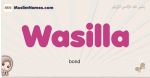 Wasilla muslim girls name and meaning, islamic girls name Wasilla