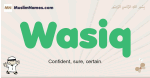 Wasiq muslim boys name and meaning, islamic boys name Wasiq