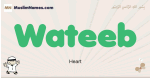 Wateeb muslim boys name and meaning, islamic boys name Wateeb
