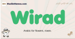 Wirad muslim boys name and meaning, islamic boys name Wirad
