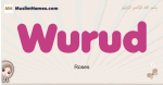 Wurud muslim girls name and meaning, islamic girls name Wurud
