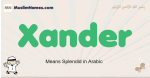 Xander muslim boys name and meaning, islamic boys name Xander