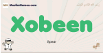 Xobeen muslim boys name and meaning, islamic boys name Xobeen