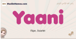 Yaani muslim girls name and meaning, islamic girls name Yaani