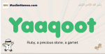 Yaaqoot muslim boys name and meaning, islamic boys name Yaaqoot