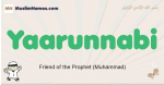 Yaarunnabi muslim boys name and meaning, islamic boys name Yaarunnabi