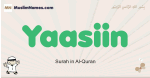 Yaasiin muslim boys name and meaning, islamic boys name Yaasiin