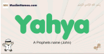 Yahya muslim boys name and meaning, islamic boys name Yahya