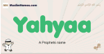 Yahyaa muslim boys name and meaning, islamic boys name Yahyaa
