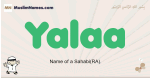 Yalaa muslim boys name and meaning, islamic boys name Yalaa