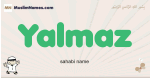Yalmaz muslim boys name and meaning, islamic boys name Yalmaz