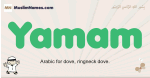 Yamam muslim boys name and meaning, islamic boys name Yamam