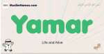 Yamar muslim boys name and meaning, islamic boys name Yamar