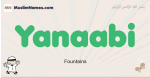 Yanaabi muslim boys name and meaning, islamic boys name Yanaabi