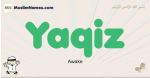 Yaqiz muslim boys name and meaning, islamic boys name Yaqiz
