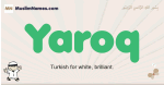 Yaroq muslim boys name and meaning, islamic boys name Yaroq
