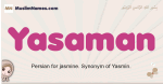 Yasaman muslim girls name and meaning, islamic girls name Yasaman