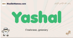 Yashal muslim boys name and meaning, islamic boys name Yashal