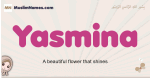 Yasmina muslim girls name and meaning, islamic girls name Yasmina