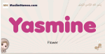 Yasmine muslim girls name and meaning, islamic girls name Yasmine
