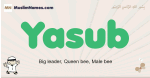 Yasub muslim boys name and meaning, islamic boys name Yasub
