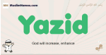 Yazid muslim boys name and meaning, islamic boys name Yazid