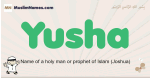 Yusha muslim boys name and meaning, islamic boys name Yusha