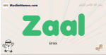 Zaal muslim boys name and meaning, islamic boys name Zaal