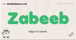 Zabeeb muslim boys name and meaning, islamic boys name Zabeeb