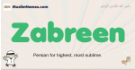 Zabreen muslim boys name and meaning, islamic boys name Zabreen
