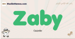 Zaby muslim boys name and meaning, islamic boys name Zaby