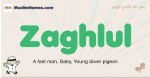 Zaghlul muslim boys name and meaning, islamic boys name Zaghlul
