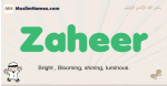 Zaheer muslim boys name and meaning, islamic boys name Zaheer