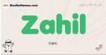 Zahil muslim boys name and meaning, islamic boys name Zahil
