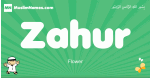 Zahur arabic boys name and meaning, quranic boys name Zahur