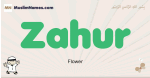 Zahur muslim boys name and meaning, islamic boys name Zahur