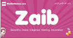 Zaib arabic girls name and meaning, muslim girl name Zaib