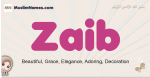 Zaib muslim girls name and meaning, islamic girls name Zaib