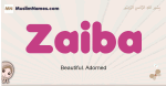 Zaiba muslim girls name and meaning, islamic girls name Zaiba